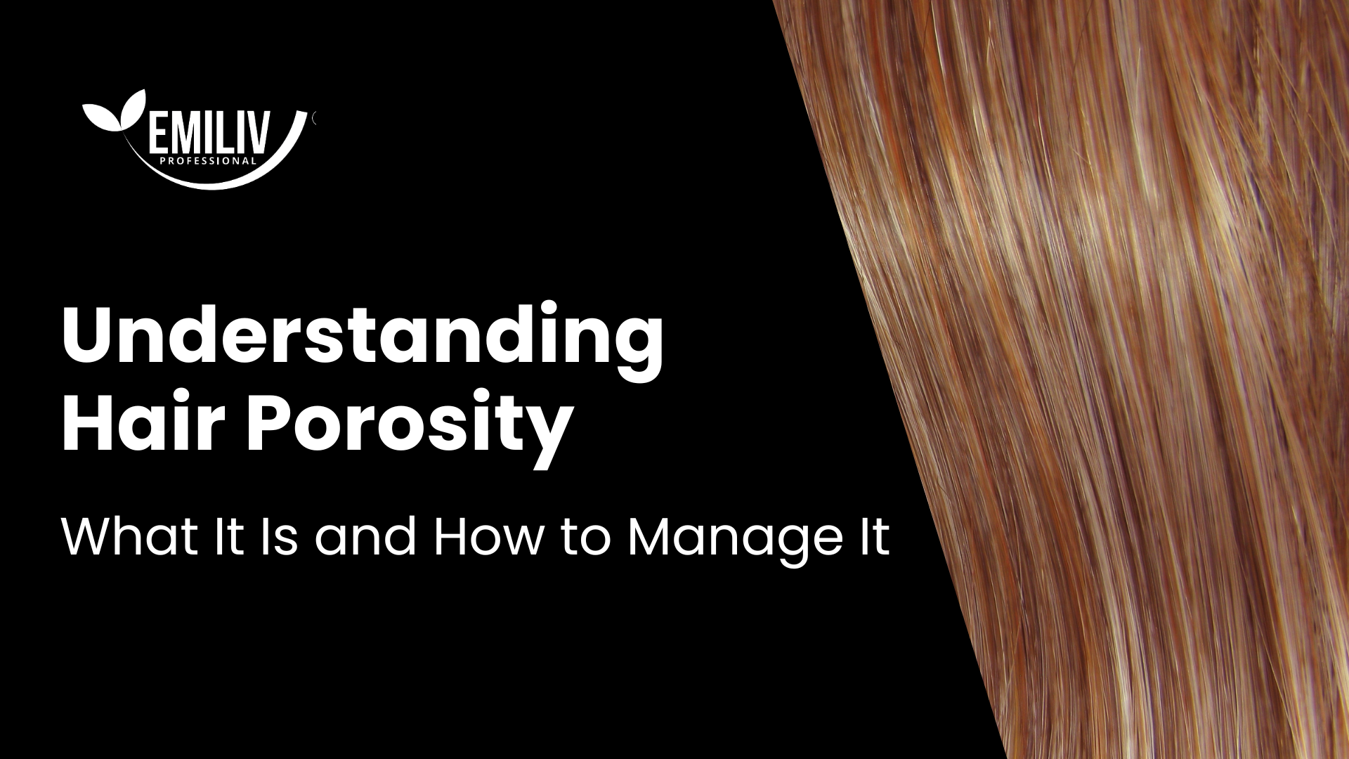Understanding Hair Porosity: What It Is and How to Manage It